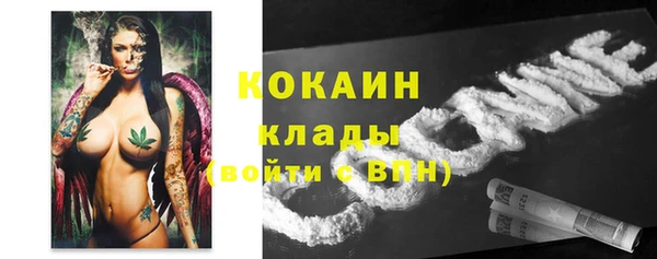 прущие крисы Алексин