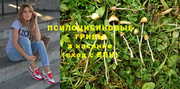 прущие крисы Алексин