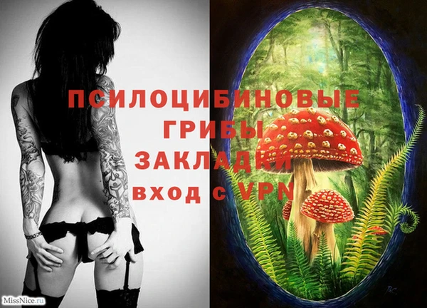 соль ск Алексеевка